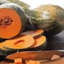 Calabaza vasca